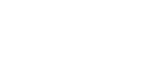 IUV Universidad